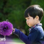 A nature corridor enhancing biodiversity in London with people enjoying the outdoors.