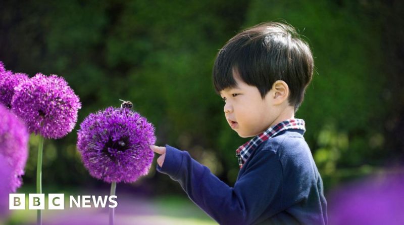 A nature corridor enhancing biodiversity in London with people enjoying the outdoors.