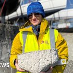Visitors at Strangford Yacht Club observing rock pools for marine life.
