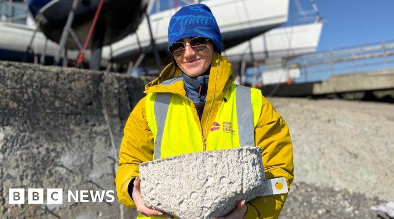Visitors at Strangford Yacht Club observing rock pools for marine life.