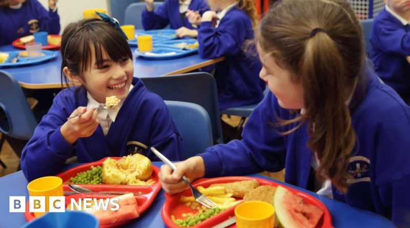 Children enjoying healthy meals in a school cafeteria, following new school lunch guidelines.