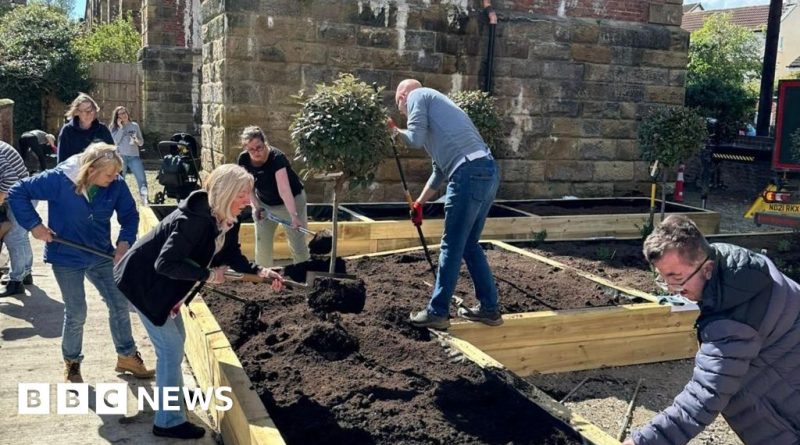 A peaceful wellbeing garden opening with people enjoying nature and community activities.