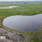 A new wetland attracting wildlife, including birds and plants.
