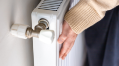 Professionals discuss Northern Ireland energy prices in a meeting.