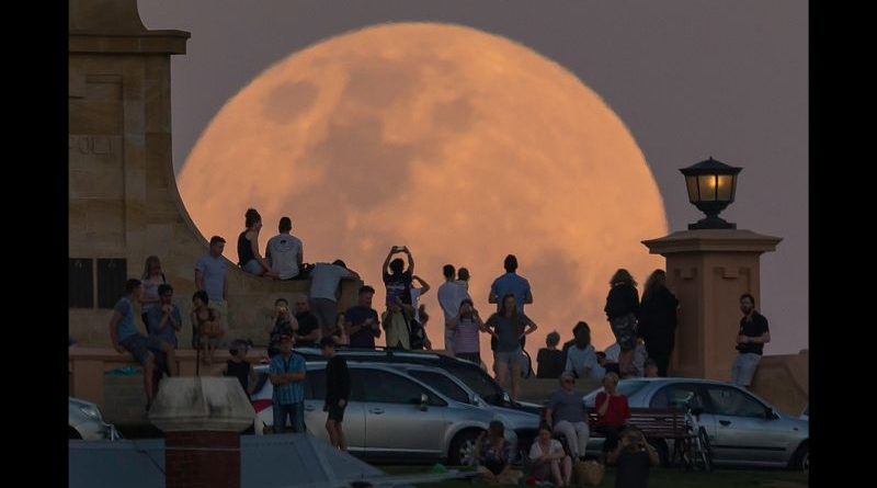 A group of people in professional attire observing the November supermoon.