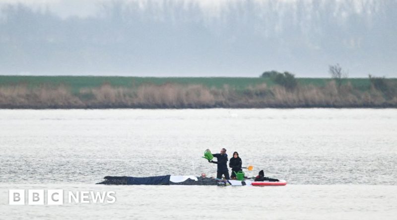 Rescue team working on stranded whale rescue using air cushions.