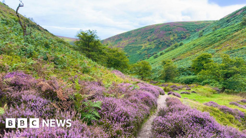 Volunteers work to restore nature in England's wild areas, focusing on habitat improvement.