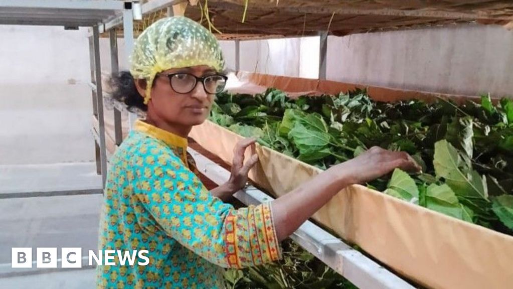 Farmers in professional attire work on a modern Indian silk farm.