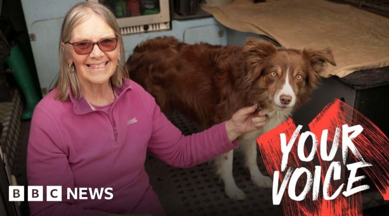 A group of professionals discussing pet insurance costs in an office setting.
