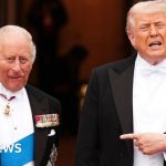 Crowd of people watching the royal family during a U.S. visit, showcasing royal family popularity.