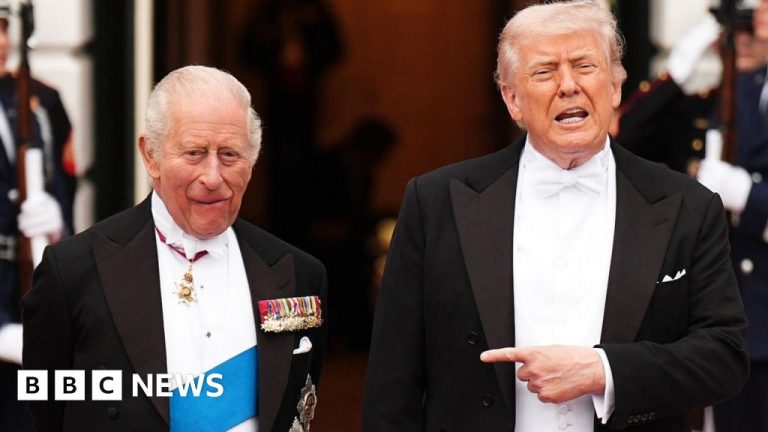 Crowd of people watching the royal family during a U.S. visit, showcasing royal family popularity.
