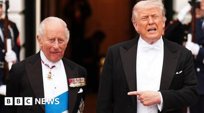 Crowd of people watching the royal family during a U.S. visit, showcasing royal family popularity.