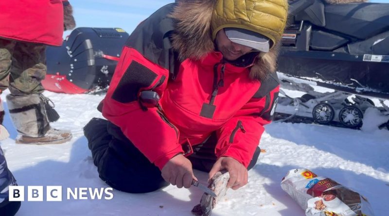 Canadian rangers demonstrating survival techniques in the Arctic environment.