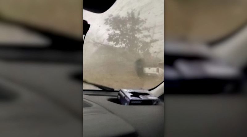 People discussing tornado survival in a van during severe weather.