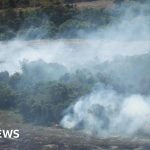 Professionals discuss tropical rainforest loss and conservation strategies.