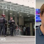 Diverse professionals discussing UAE leaves OPEC in a modern office.