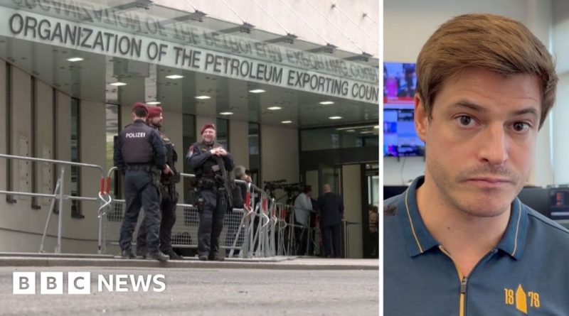 Diverse professionals discussing UAE leaves OPEC in a modern office.