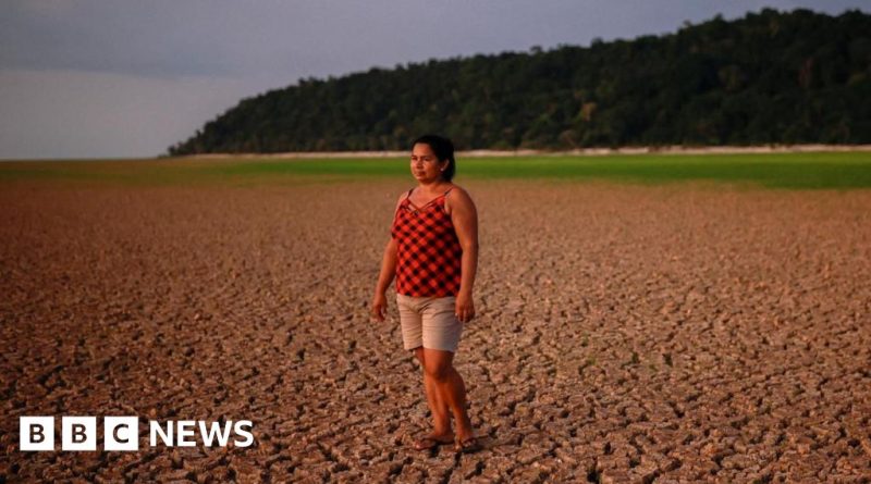 Meteorologists examining El Niño and La Niña effects on climate patterns.
