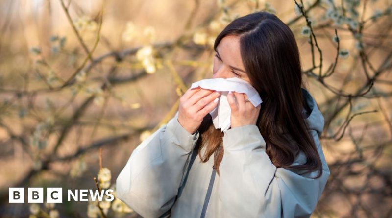 Professionals discussing hay fever symptoms management in an office setting.