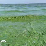 Professionals discussing agricultural pollution reforms in a meeting.