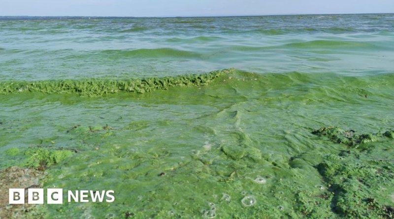 Professionals discussing agricultural pollution reforms in a meeting.