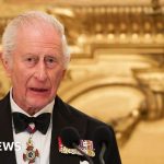 A diverse crowd watching the King Charles visit, symbolizing unity and excitement.