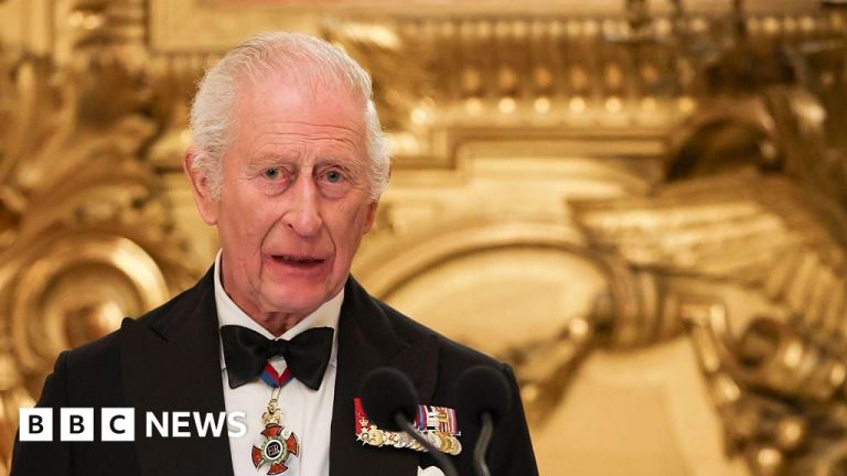 A diverse crowd watching the King Charles visit, symbolizing unity and excitement.