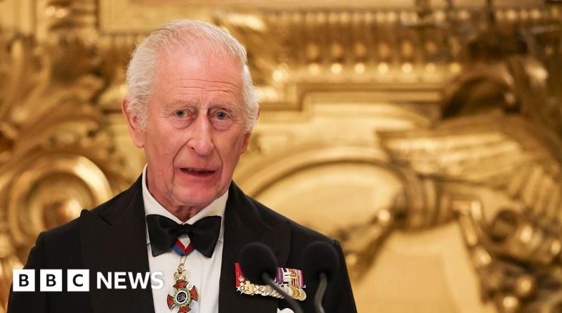 A diverse crowd watching the King Charles visit, symbolizing unity and excitement.