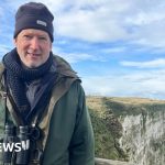 People observing birds at Bempton Cliffs, highlighting bird protection efforts.