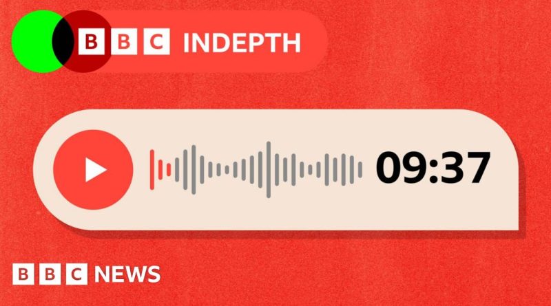 Professionals discussing voice notes popularity in a modern office environment.