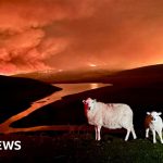 Firefighters working to control Elan Valley wildfires, showcasing the urgency of the response.