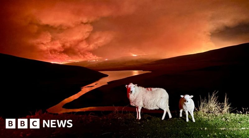 Firefighters working to control Elan Valley wildfires, showcasing the urgency of the response.