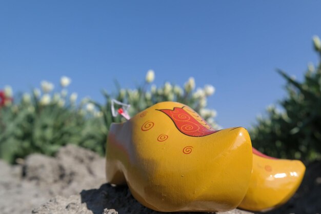 Yayoi Kusama yellow pumpkin sculpture on Naoshima Island with visitors.