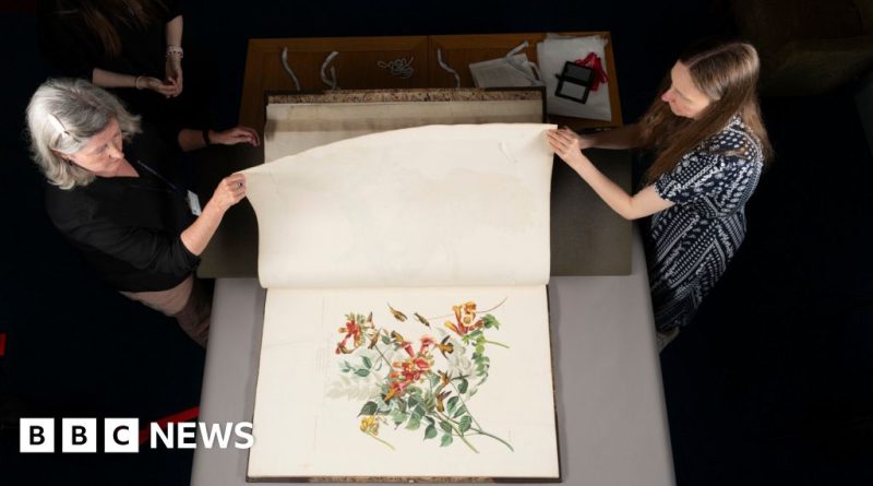 Visitors admire the historic 'Birds of America display' in a museum.