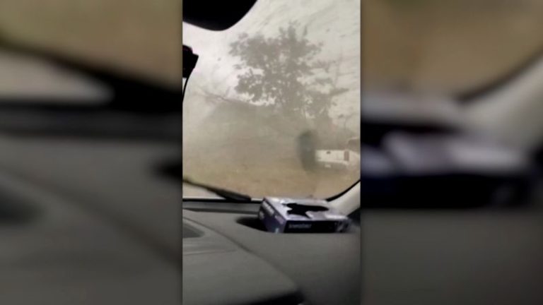 A man inside a pest control van during a tornado survival experience.