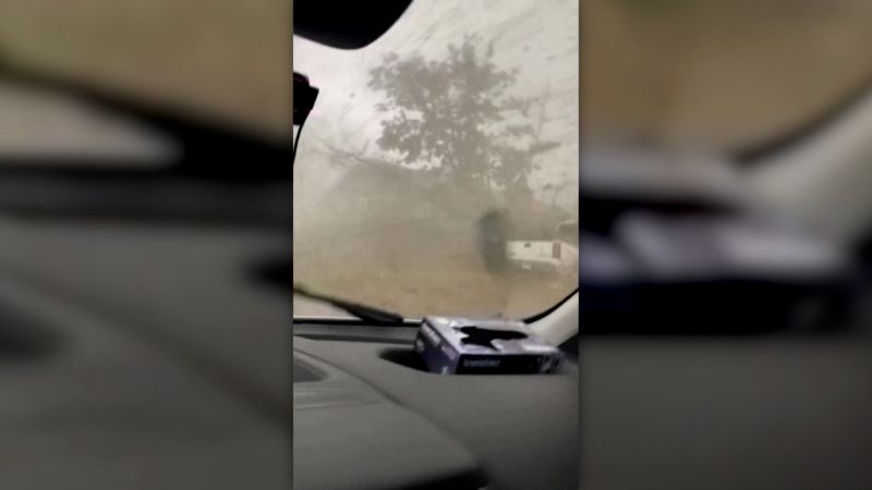 A man inside a pest control van during a tornado survival experience.