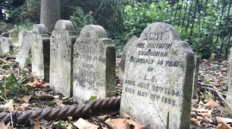 People in professional attire reflecting at a pet cemetery, emphasizing pet cemeteries and grief.